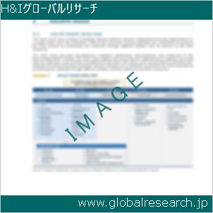 グローバルリサーチ調査レポートのイメージ